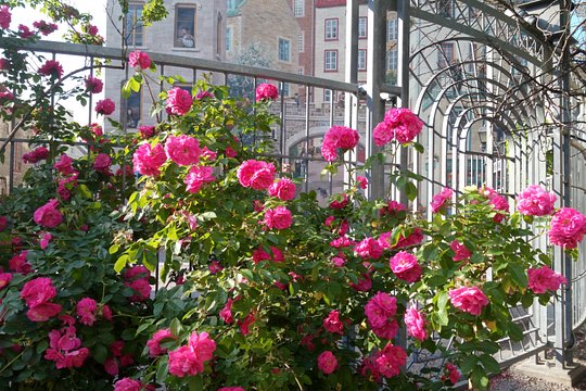 Tour image 7